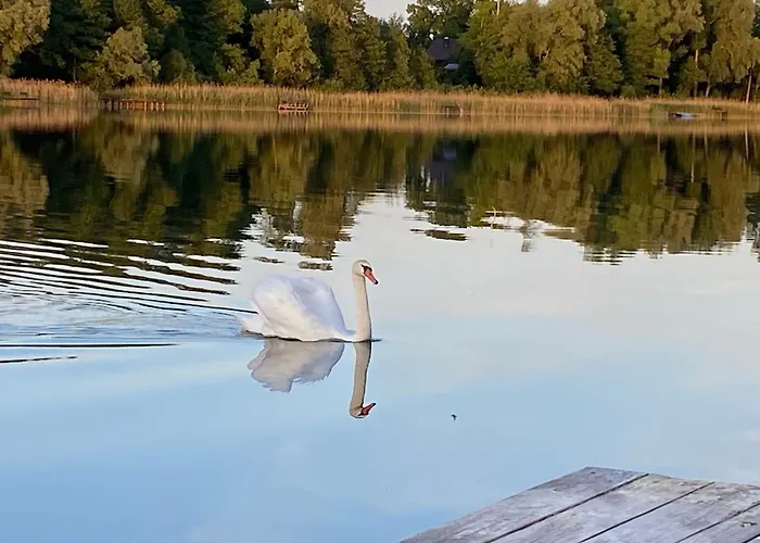 Masuria Renata Roslon Apartment Swietajno (Szczytno)